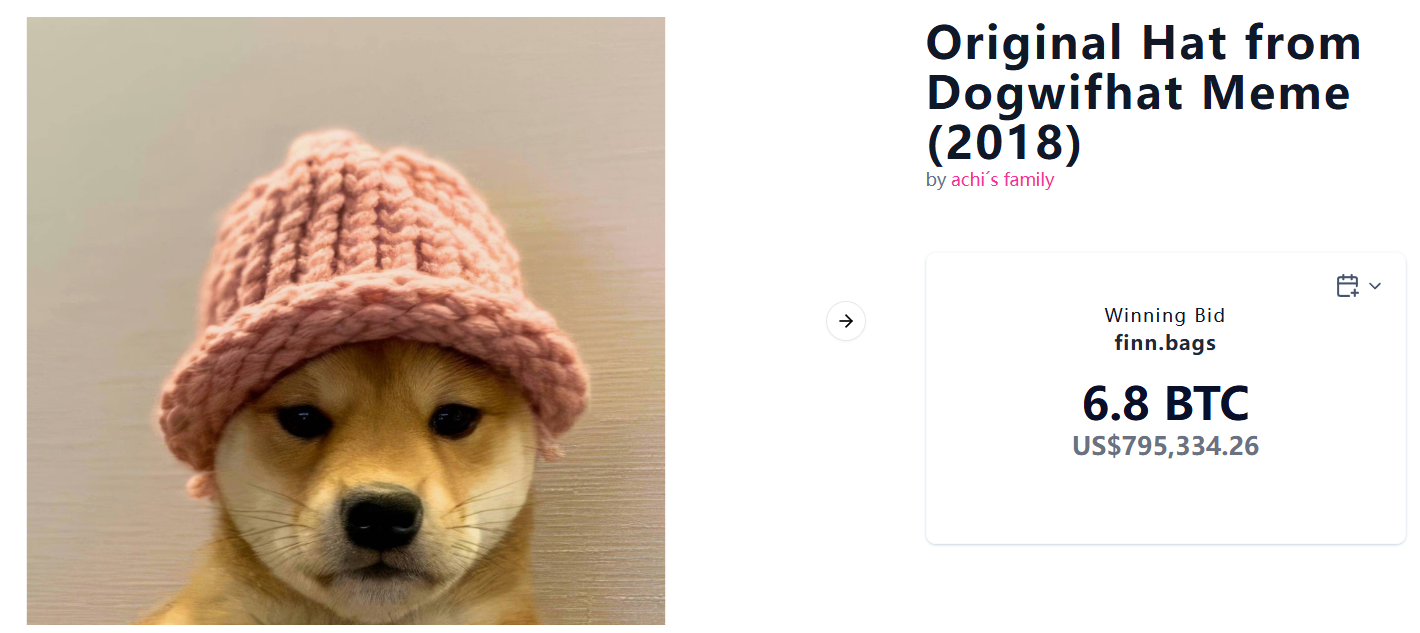 Dog Hat Coin $WIF